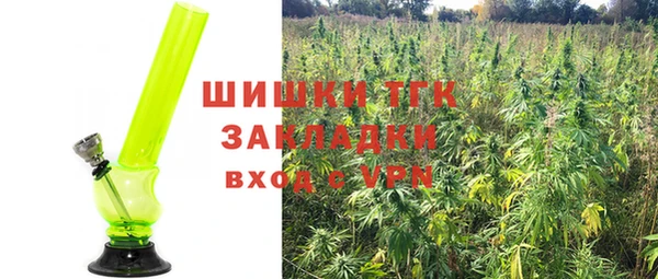 тгк Армянск