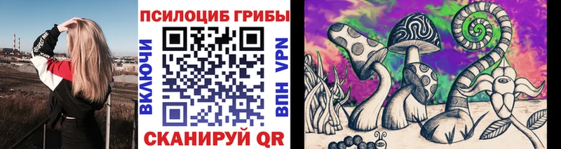 купить Петухово нарко площадка телеграм Псилоцибиновые грибы MAGIC MUSHROOMS